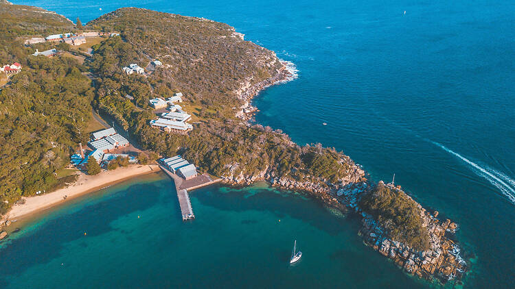 Harbour Heat A drone image of Q Station and Harbour Heat