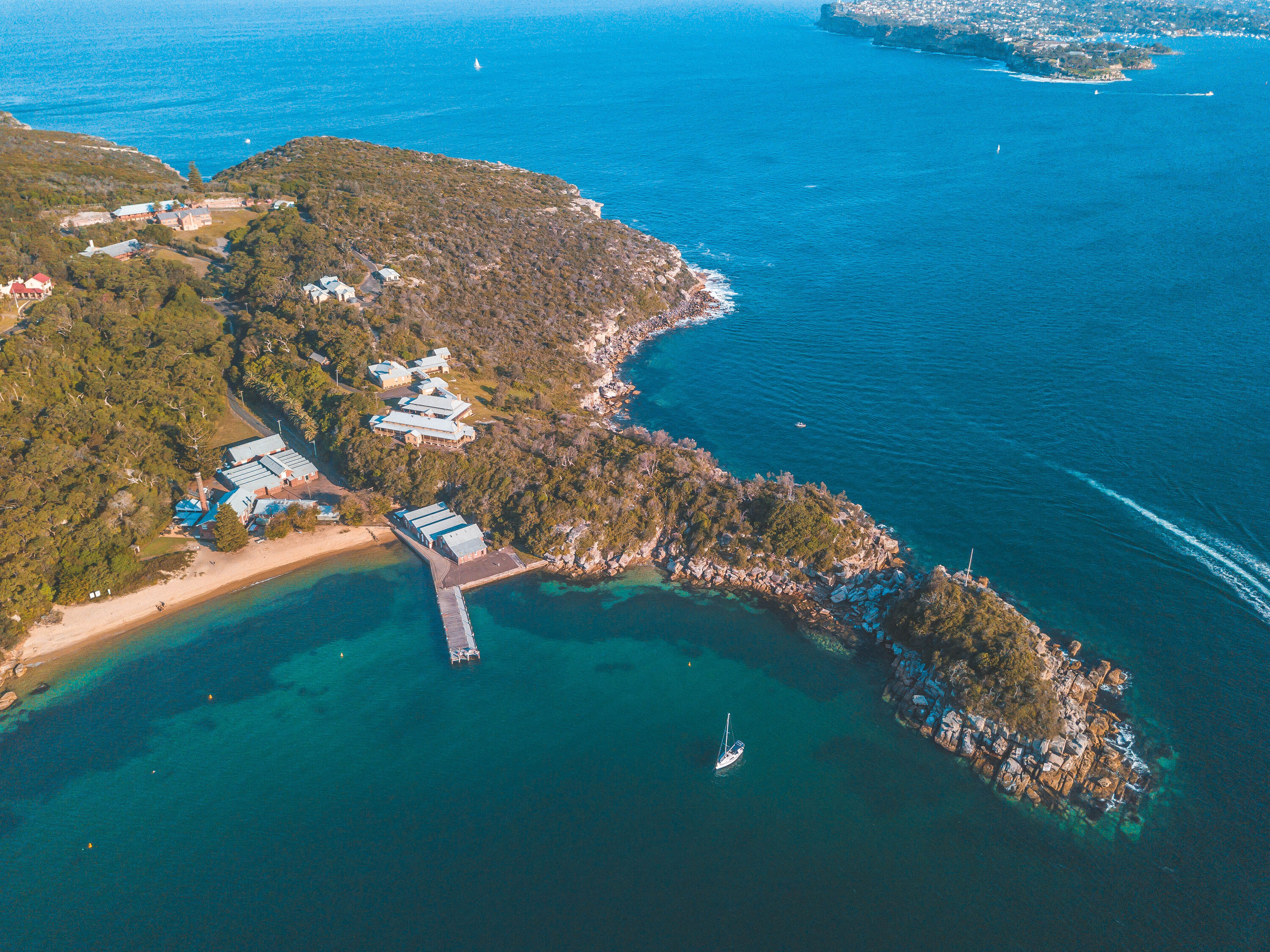 Sydney Harbour has a dreamy new wood-fired sauna – and the cold plunge is the ocean