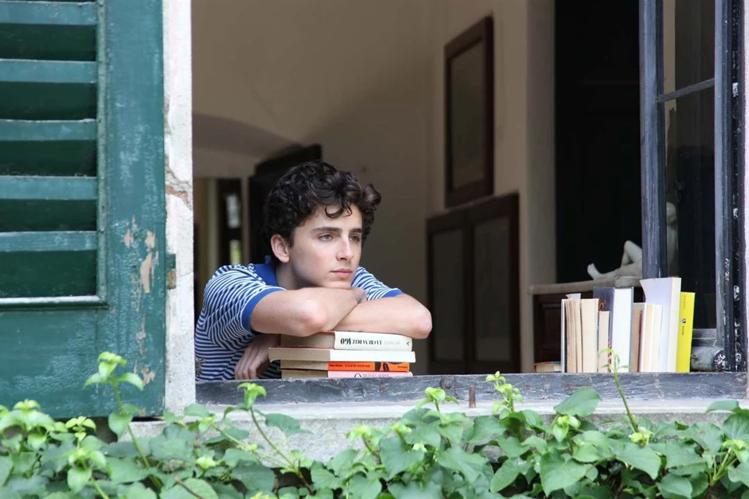 Call Me By Your Name Movie version  (2017)