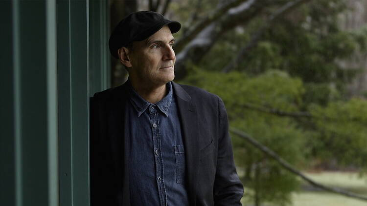 Close-up of a person standing by a window looking outdoors in a wooded setting
