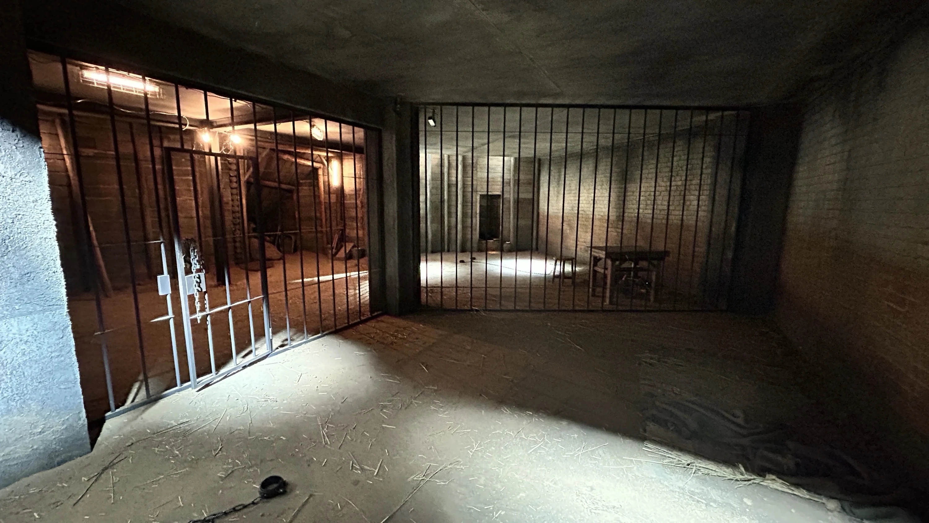 VIVANT IMMERSIVE MISSION