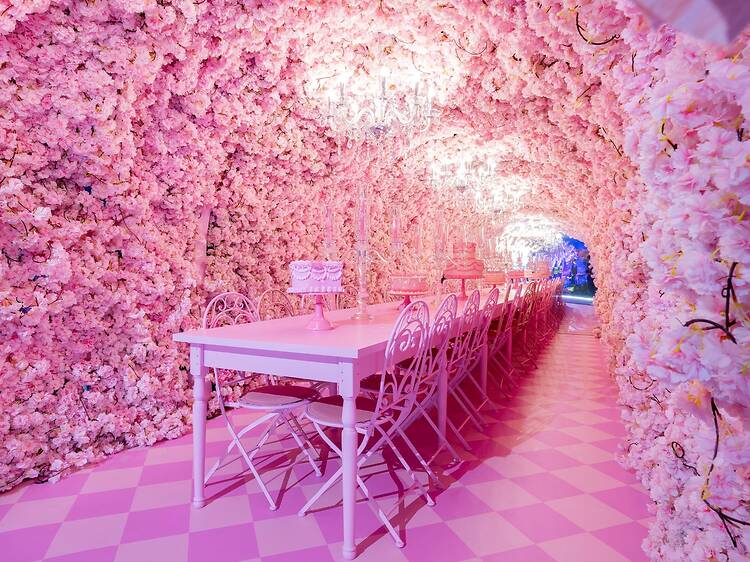 House of Dreamers