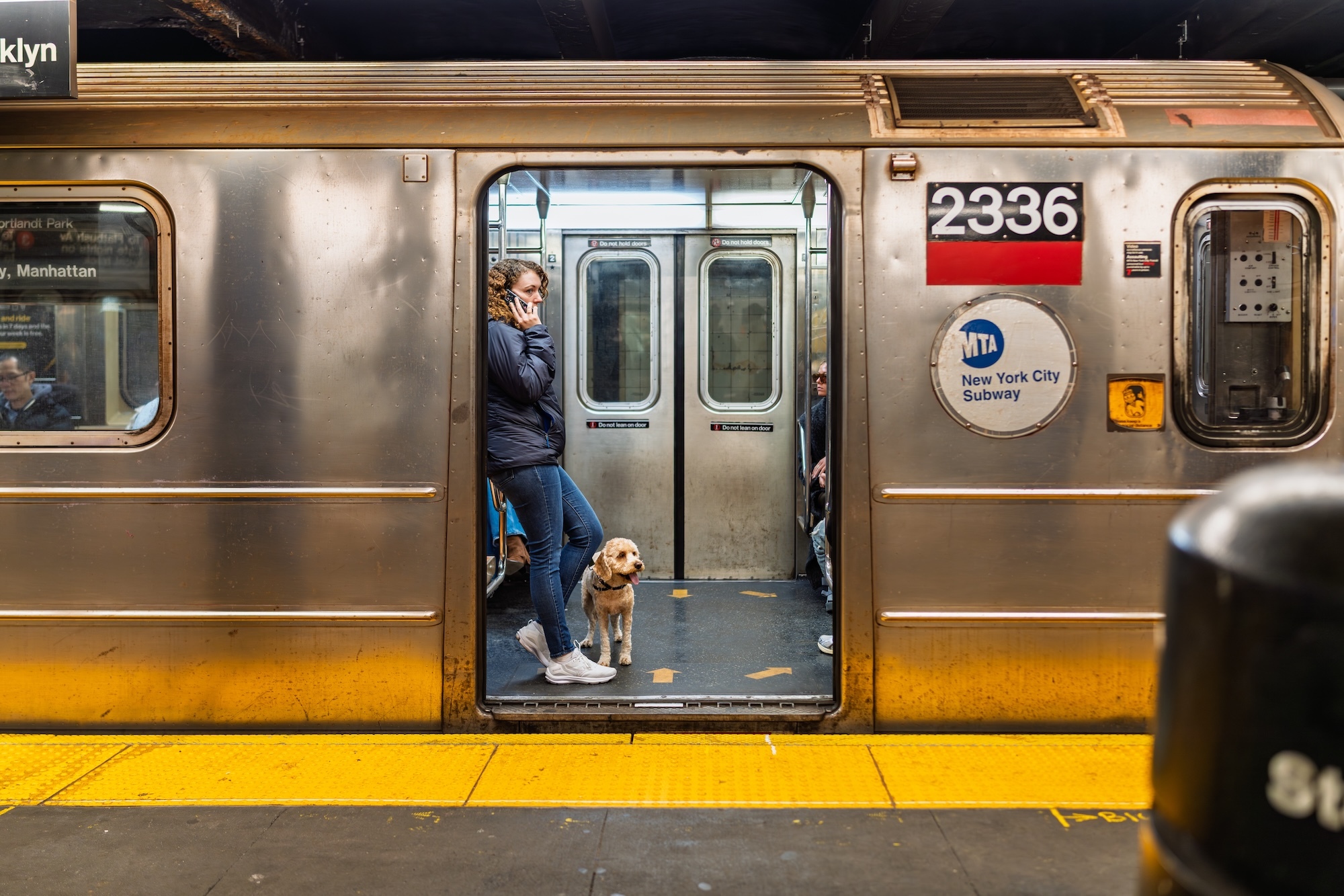 New York is the worst state in America for pet owners, says study
