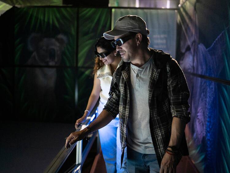 Hologram Zoo Hologram Zoo