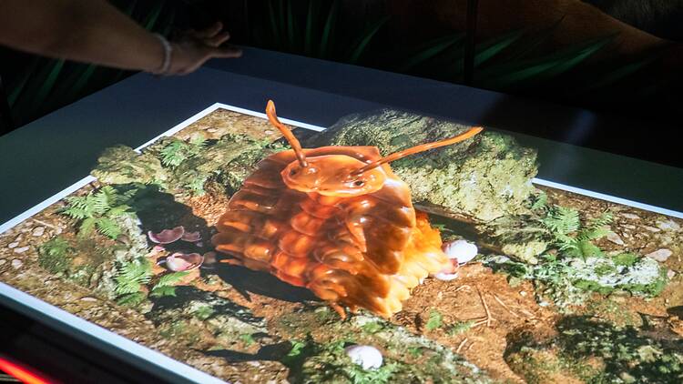 Hologram Zoo