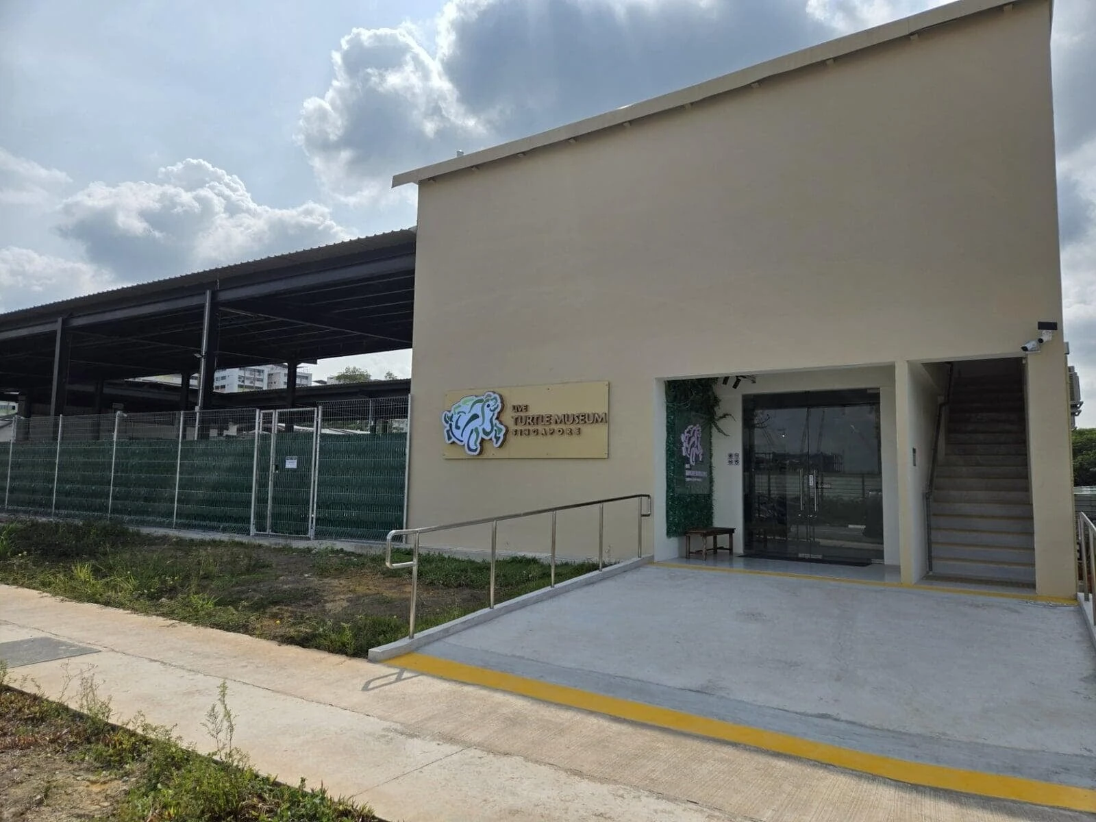 Live Turtle Museum Singapore