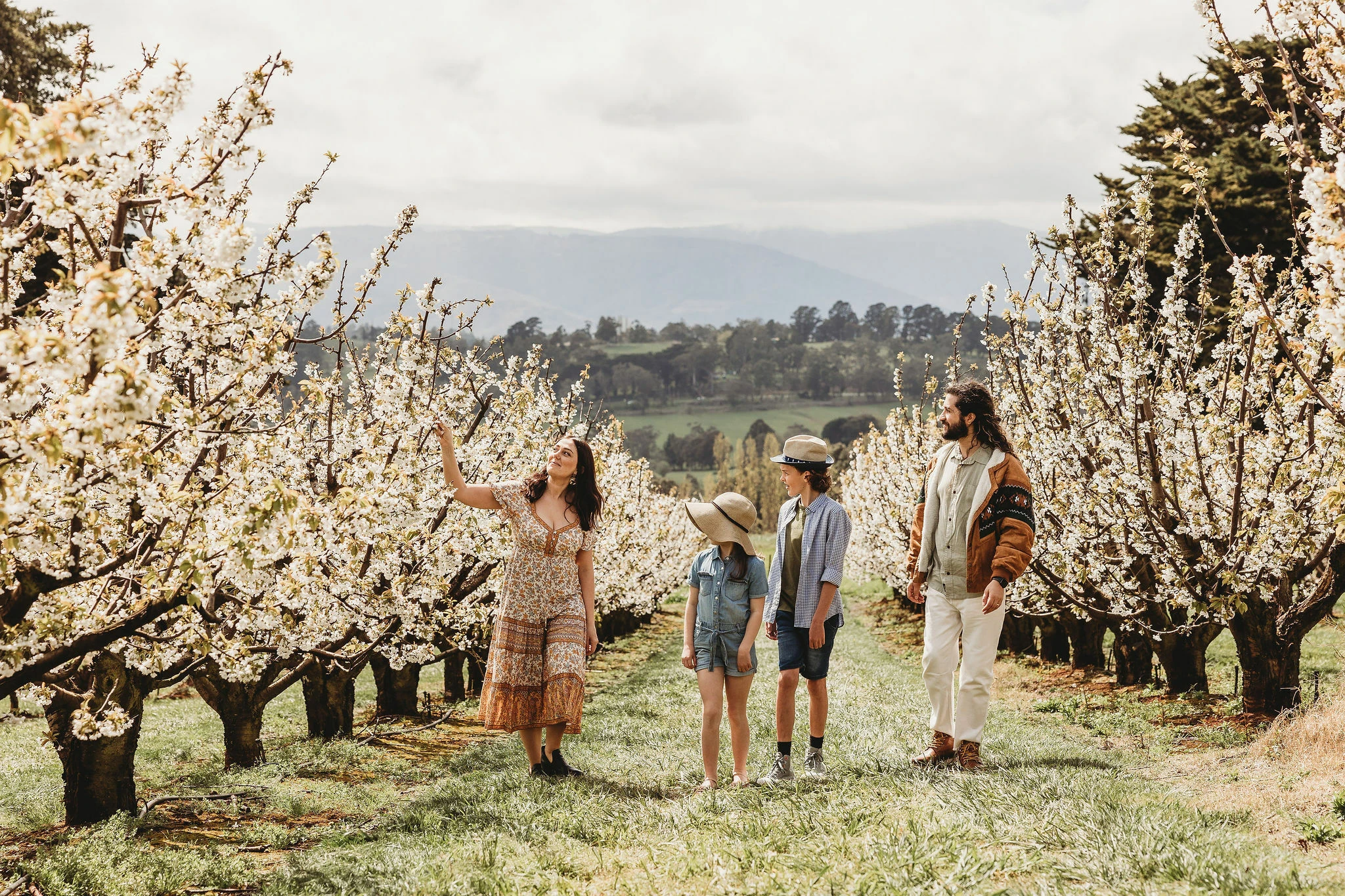 CherryHill Orchards