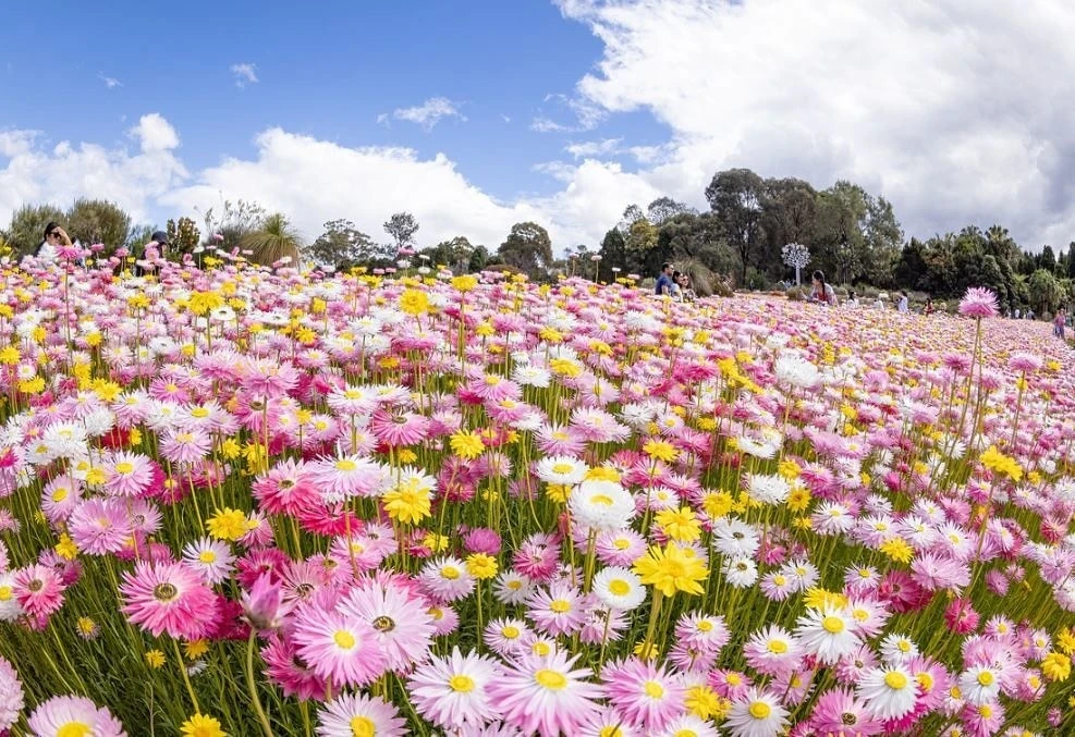 Australian Botanic Garden Mount Annan