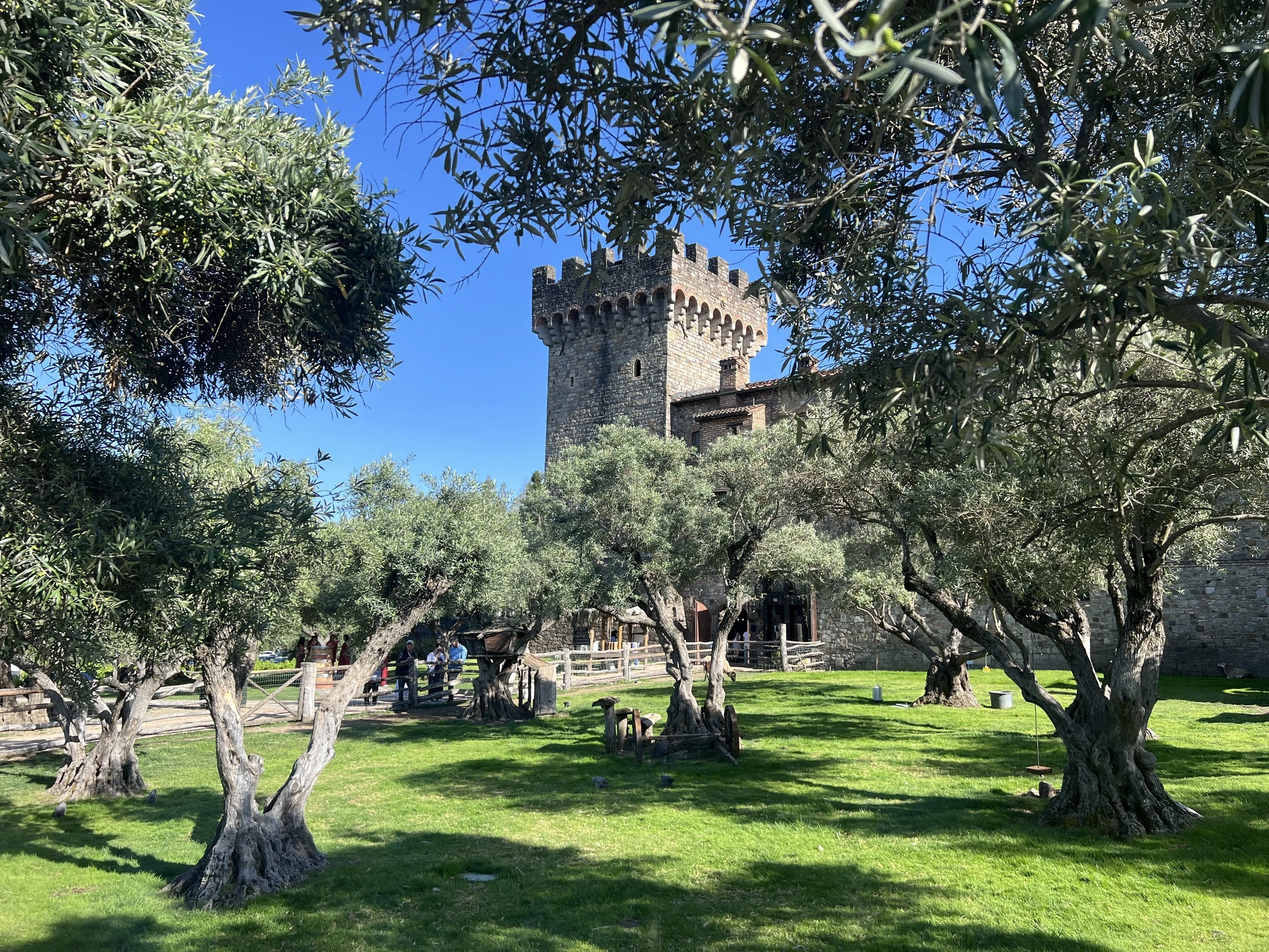 Castello di Amorosa
