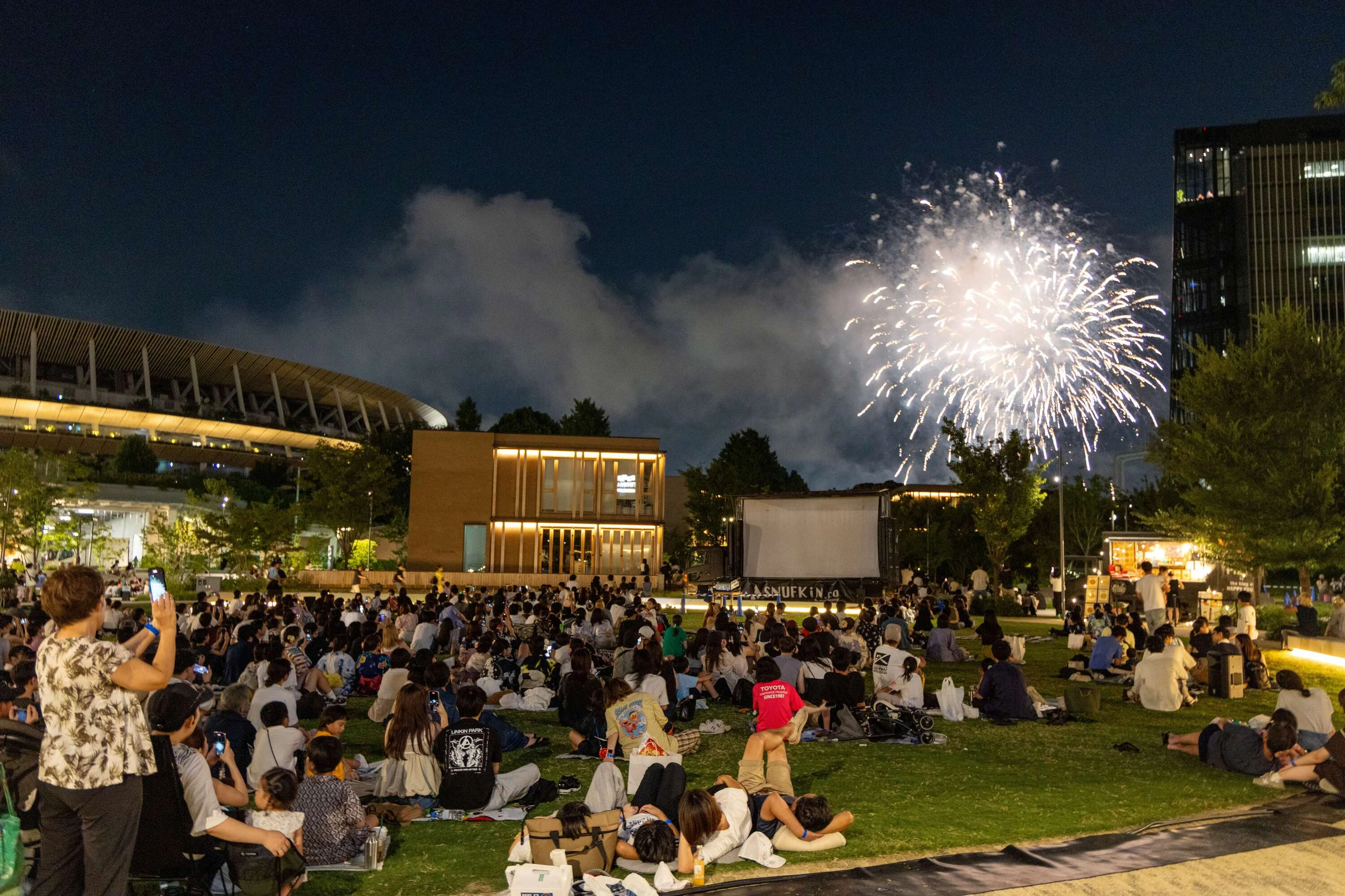 SUMMER LOUNGE PARK CINEMA