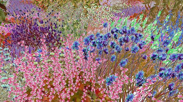 Pollinator Pathmaker. Artwork by Alexandra Daisy Ginsberg Ltd.