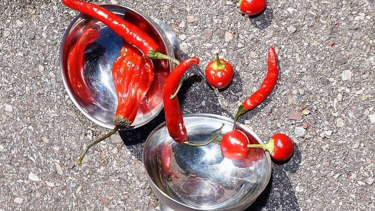 Piment 