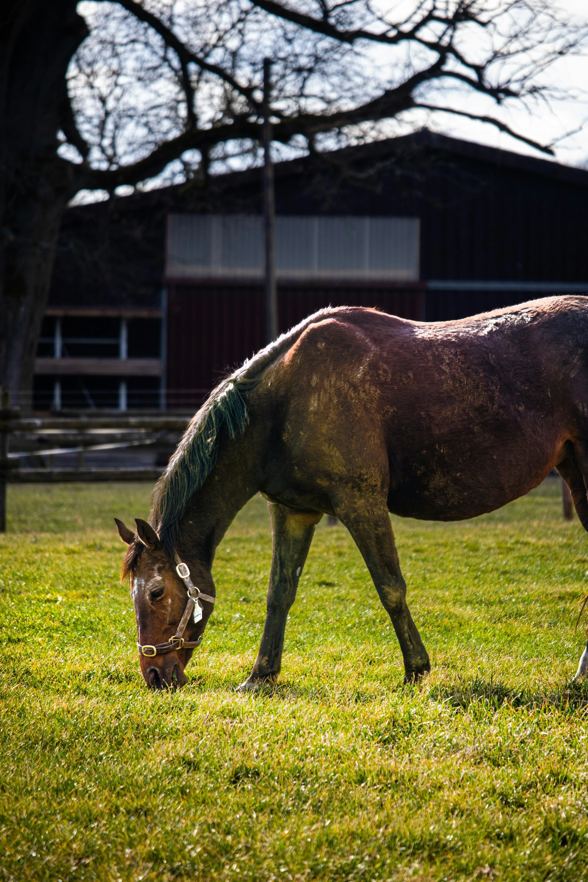 Relax at the equestrian centre with mocktails and crafts. 