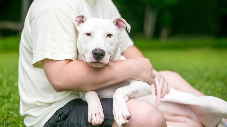 Pietermaritzburg Animal Rescue & Rehome (PARR) Pietermaritzburg Animal Rescue & Rehome (PARR)