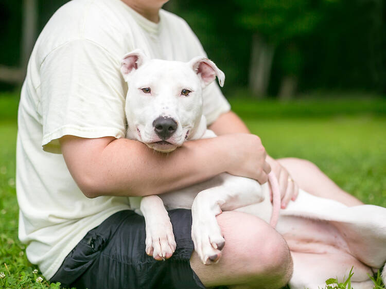 Pietermaritzburg Animal Rescue & Rehome (PARR) Pietermaritzburg Animal Rescue & Rehome (PARR)