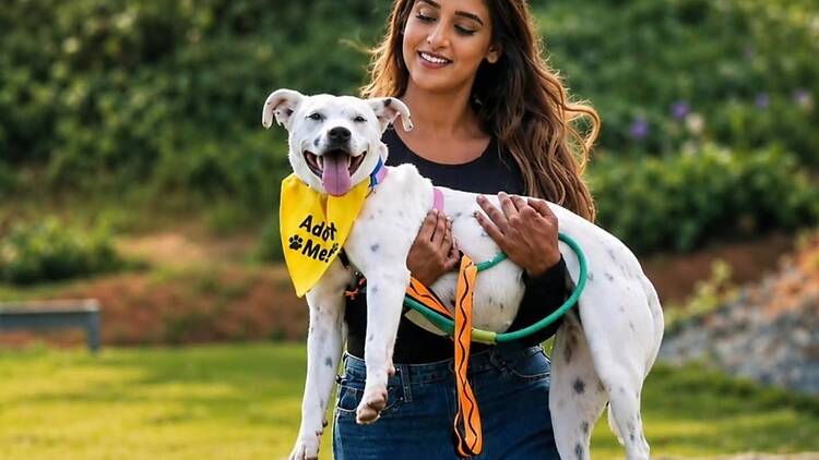Phoenix Animal Care & Treatment (PACT) Phoenix Animal Care & Treatment (PACT)