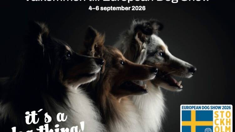 4.9. Sit, stay, win: European Dog Show takes over Stockholmsmässan 4.9. Sit, stay, win: European Dog Show takes over Stockholmsmässan