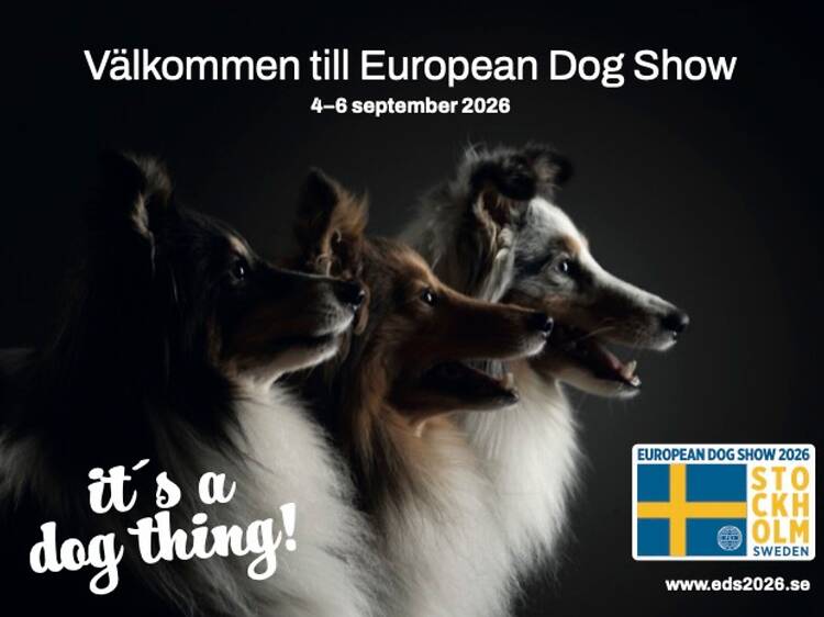 4.9. Sit, stay, win: European Dog Show takes over Stockholmsmässan 4.9. Sit, stay, win: European Dog Show takes over Stockholmsmässan