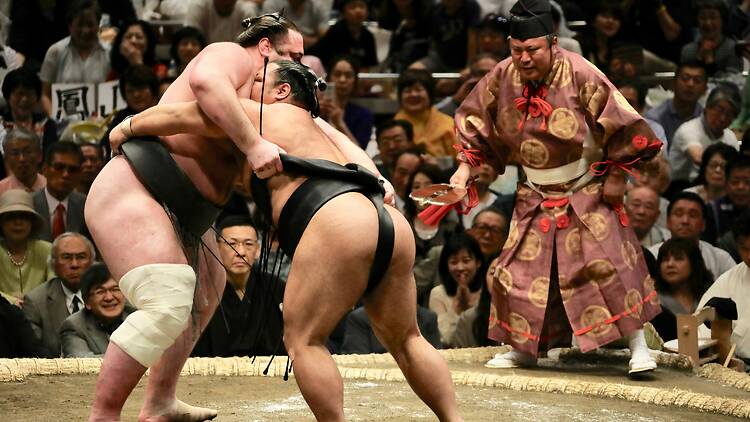 Sumo wrestling
