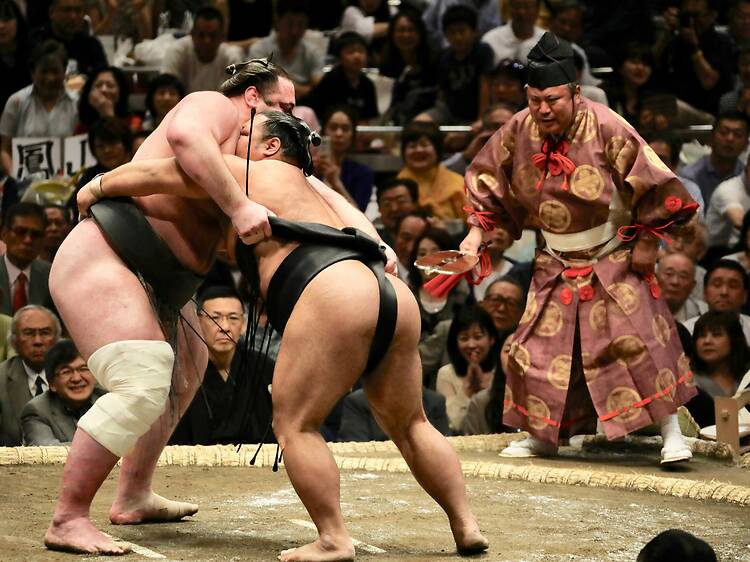 Sumo + Sushi Sumo + Sushi