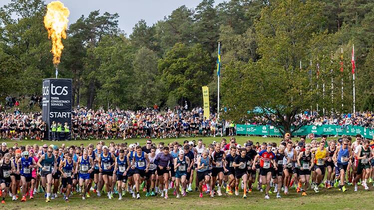 26.9. Cheer on the runners, or run it yourself: Lidingöloppet, Lidingö 26.9. Cheer on the runners, or run it yourself: Lidingöloppet, Lidingö