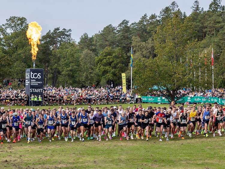 26.9. Cheer on the runners, or run it yourself: Lidingöloppet, Lidingö 26.9. Cheer on the runners, or run it yourself: Lidingöloppet, Lidingö