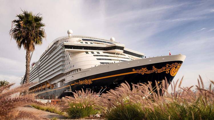 Disney Adventure Cruise
