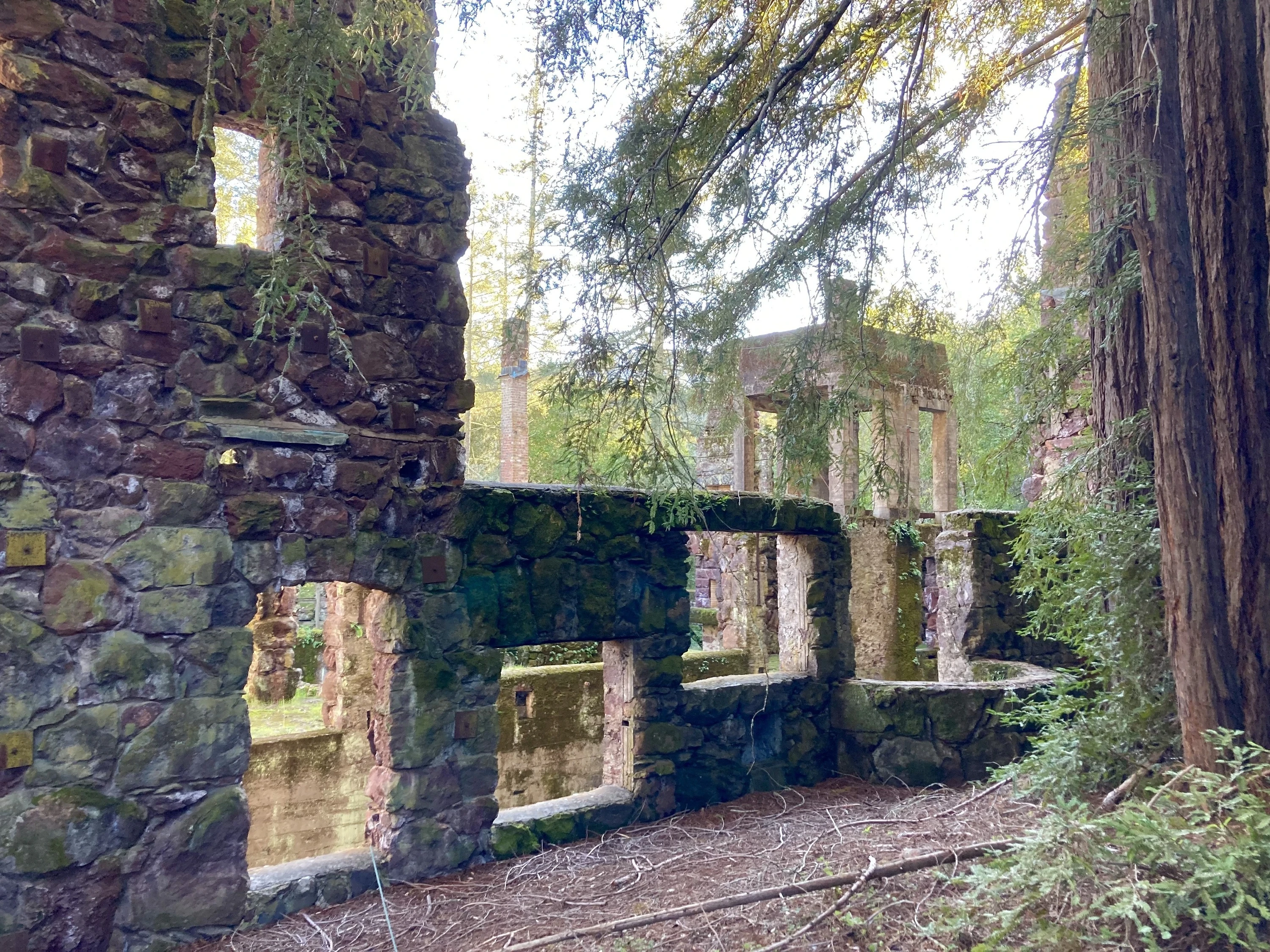 Wolf House