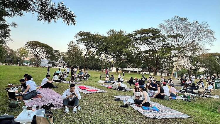 Go green at Chiang Mai’s three-day sustainability festival Go green at Chiang Mai’s three-day sustainability festival