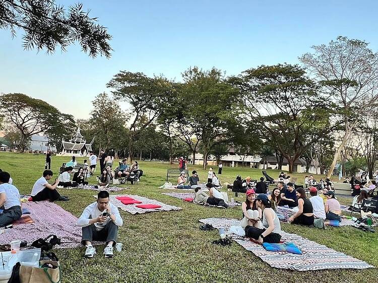 Go green at Chiang Mai’s three-day sustainability festival Go green at Chiang Mai’s three-day sustainability festival