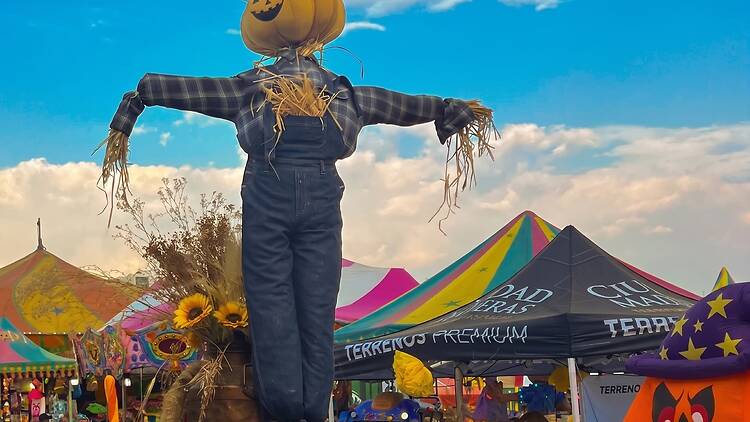 Pumpkin Zone 2026 tendrá feria, spots para fotos y cine de terror Pumpkin Zone 2026 tendrá feria, spots para fotos y cine de terror