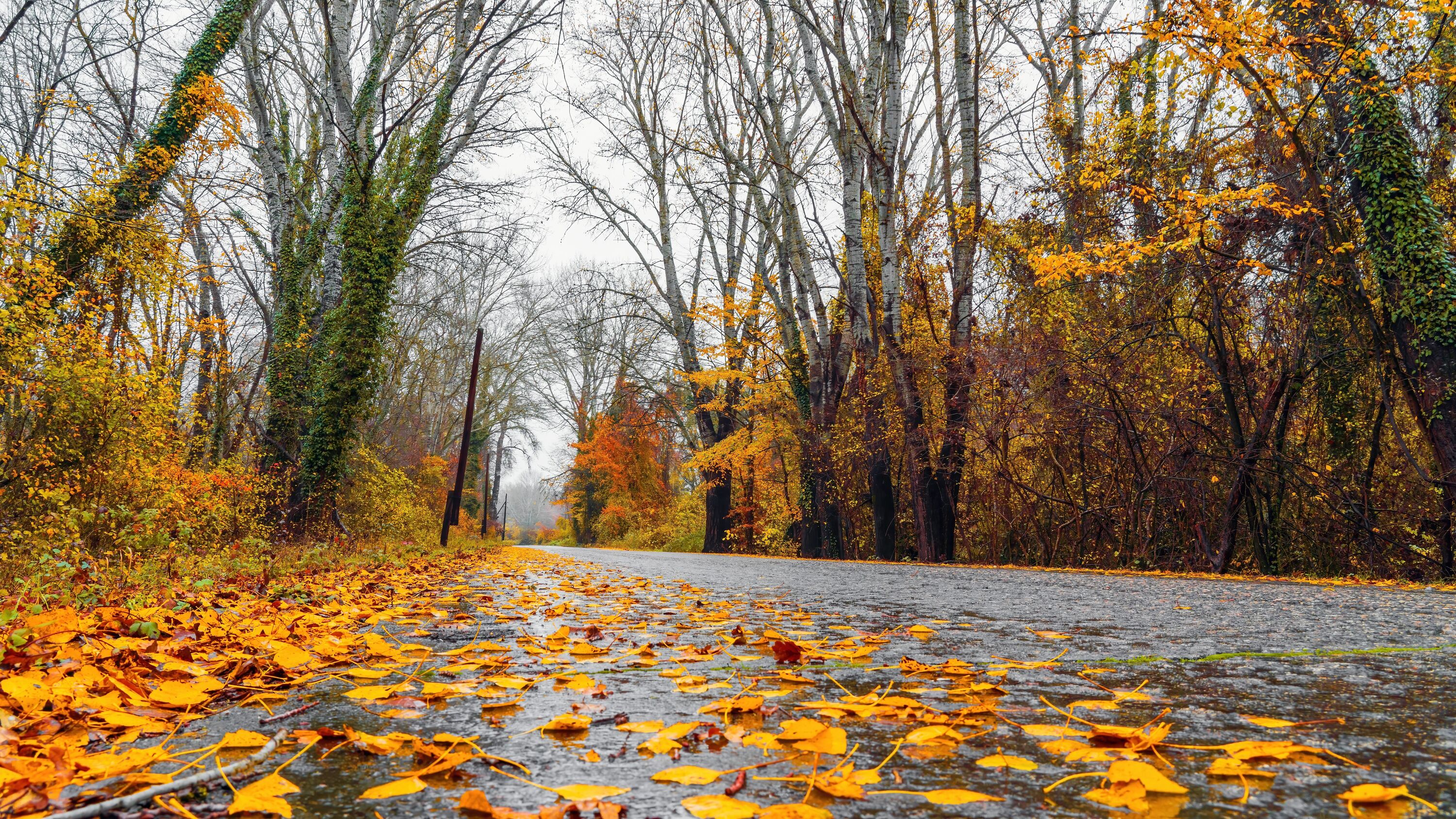 Canada’s fall forecast is here—and it could be warmer, wetter and wildly different depending on where you live