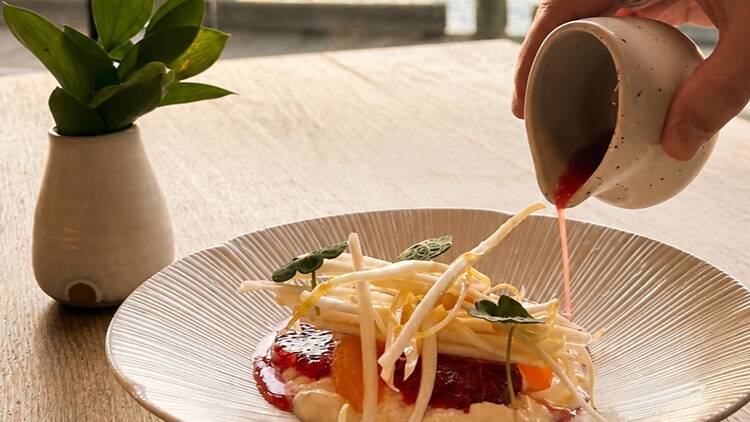 dish of Vanella Stracciatella, Citrus, Witlof, Raspberry Vinegar