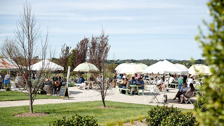 Orange Wine Festival: Rowlee Wines people sitting at tables under white umbrellas