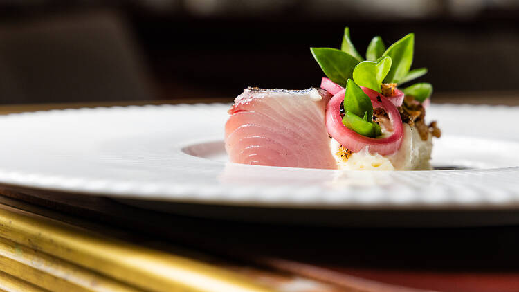 Bonito at Meribella
