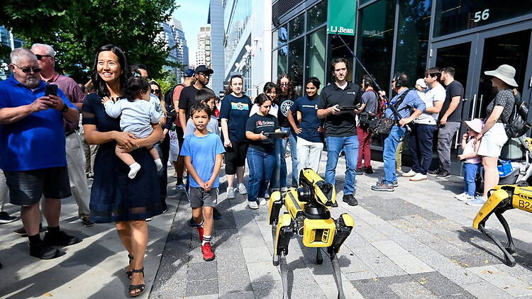 A wide shot of people observing robot dogs on a city sidewalk during a public technology demonstration A wide shot of people observing robot dogs on a city sidewalk during a public technology demonstration