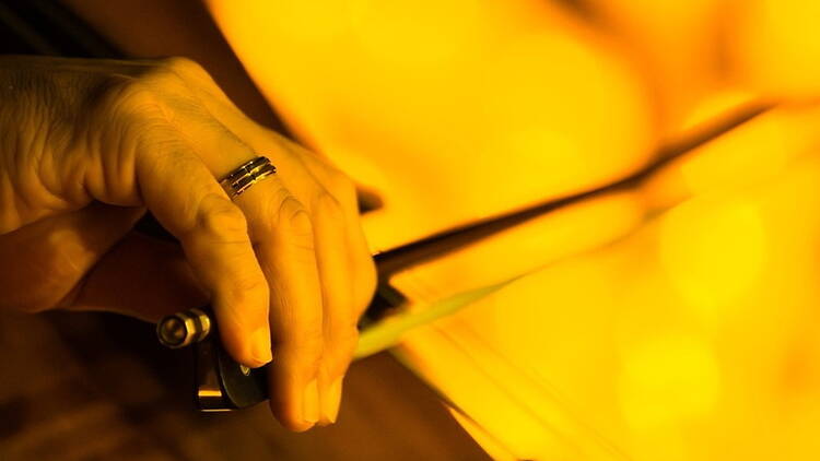 Close-up of a musician playing a string instrument under warm stage lighting Close-up of a musician playing a string instrument under warm stage lighting