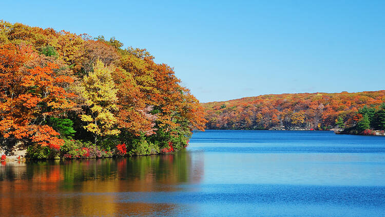 Hudson River Fall Foliage Cruise