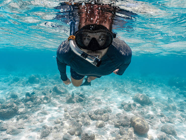 Man wearing snorkel mask and fins swimming under water looking at camera Man wearing snorkel mask and fins swimming under water looking at camera