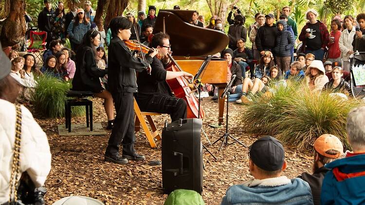 A wide shot of musicians performing for an audience in a garden during an outdoor concert