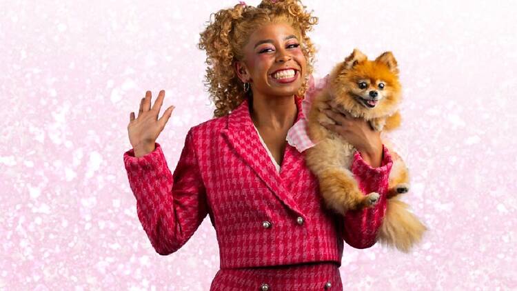Legally Blonde The Musical Legally Blonde The Musical