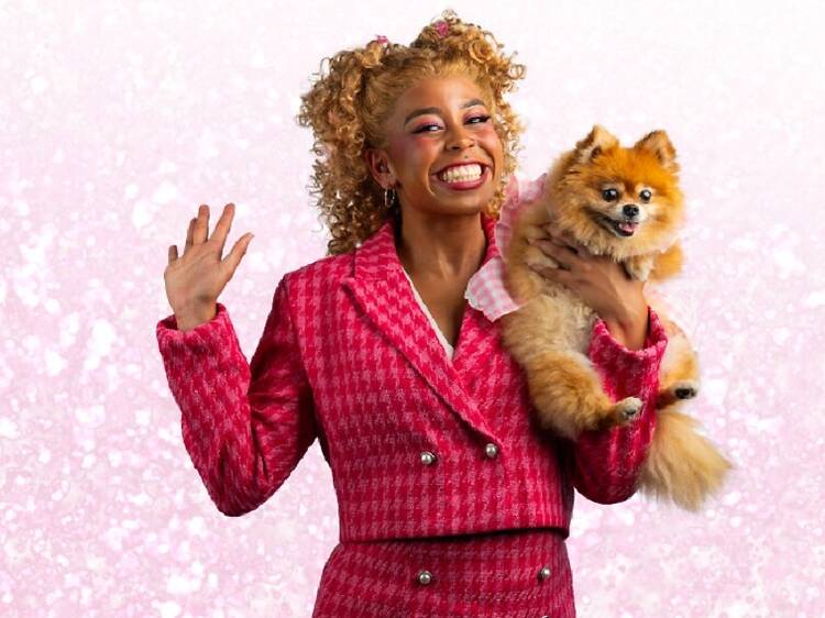 Legally Blonde The Musical Legally Blonde The Musical