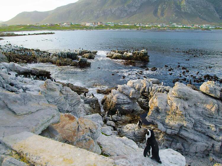 Cape Town, explore your backyard with these Heritage Month specials Cape Town, explore your backyard with these Heritage Month specials
