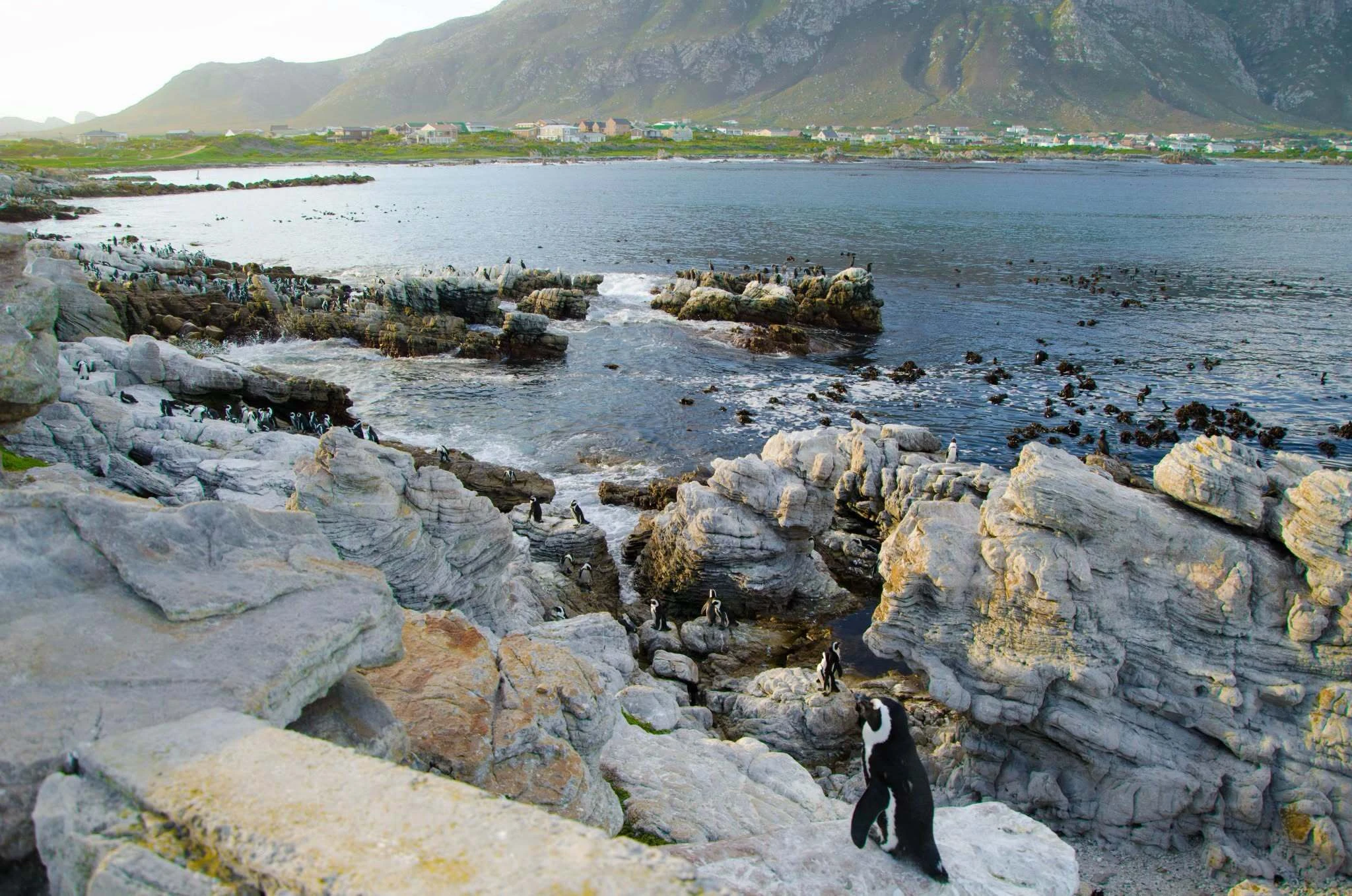 Stony Point Nature Reserve