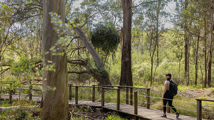 A woman on a walking trail in Australian Botanic Garden Mount Annan