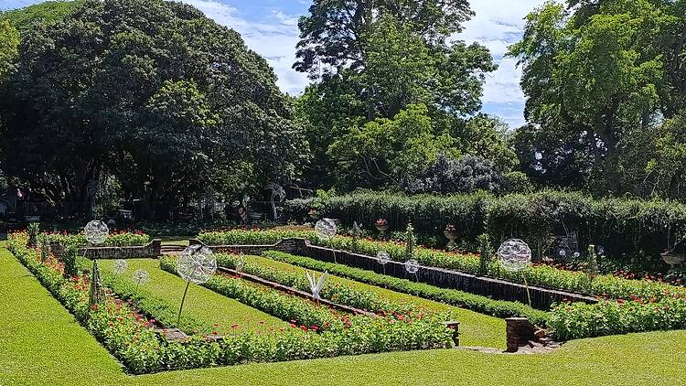 This spring, take a walk through more than 175 years of history at the Durban Botanic Gardens. This spring, take a walk through more than 175 years of history at the Durban Botanic Gardens.