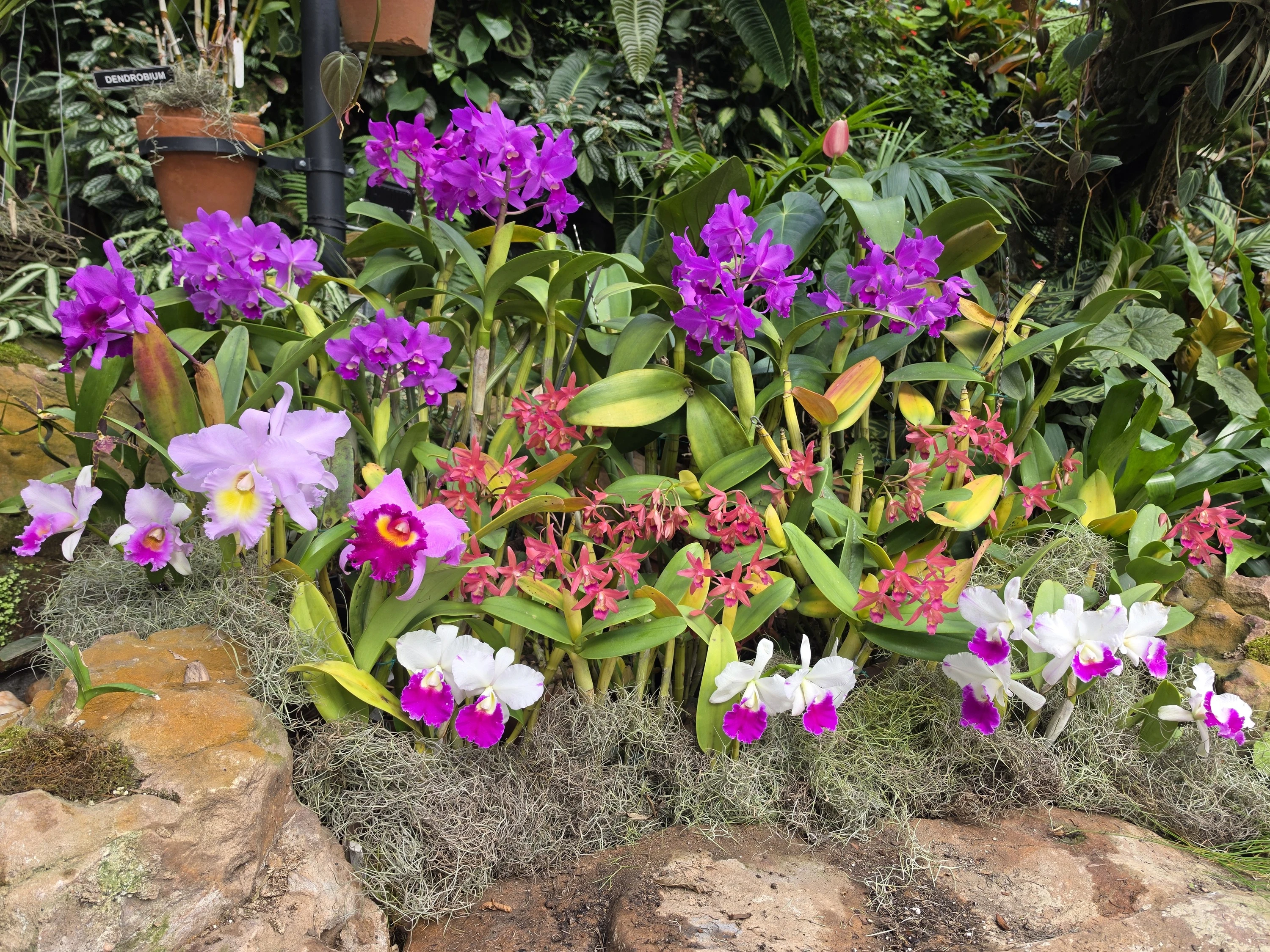 The Tropical Display House is a new addition. 