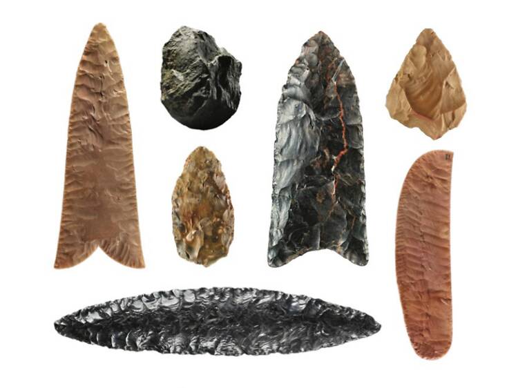 The Stone Age: Journey Through Time at CSMVS
