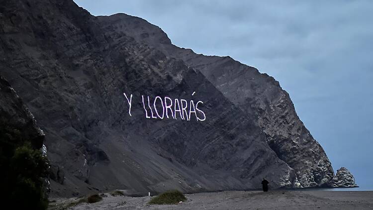 Zurita. El último proyecto