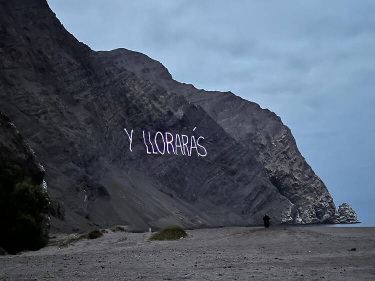 Zurita. El último proyecto